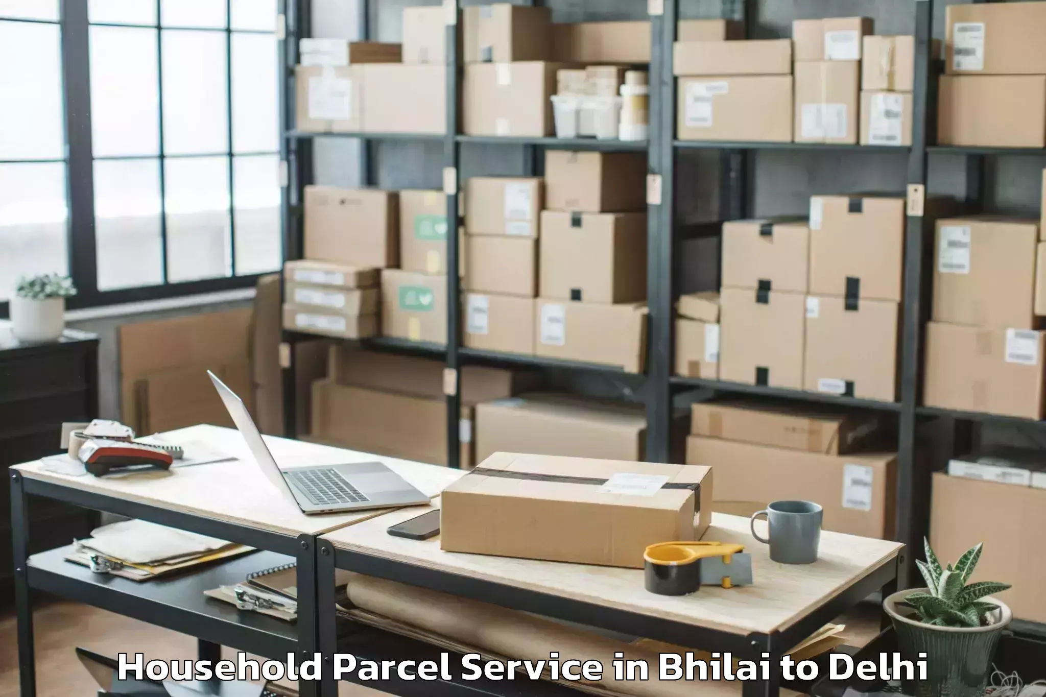 Easy Bhilai to Pitampura Household Parcel Booking